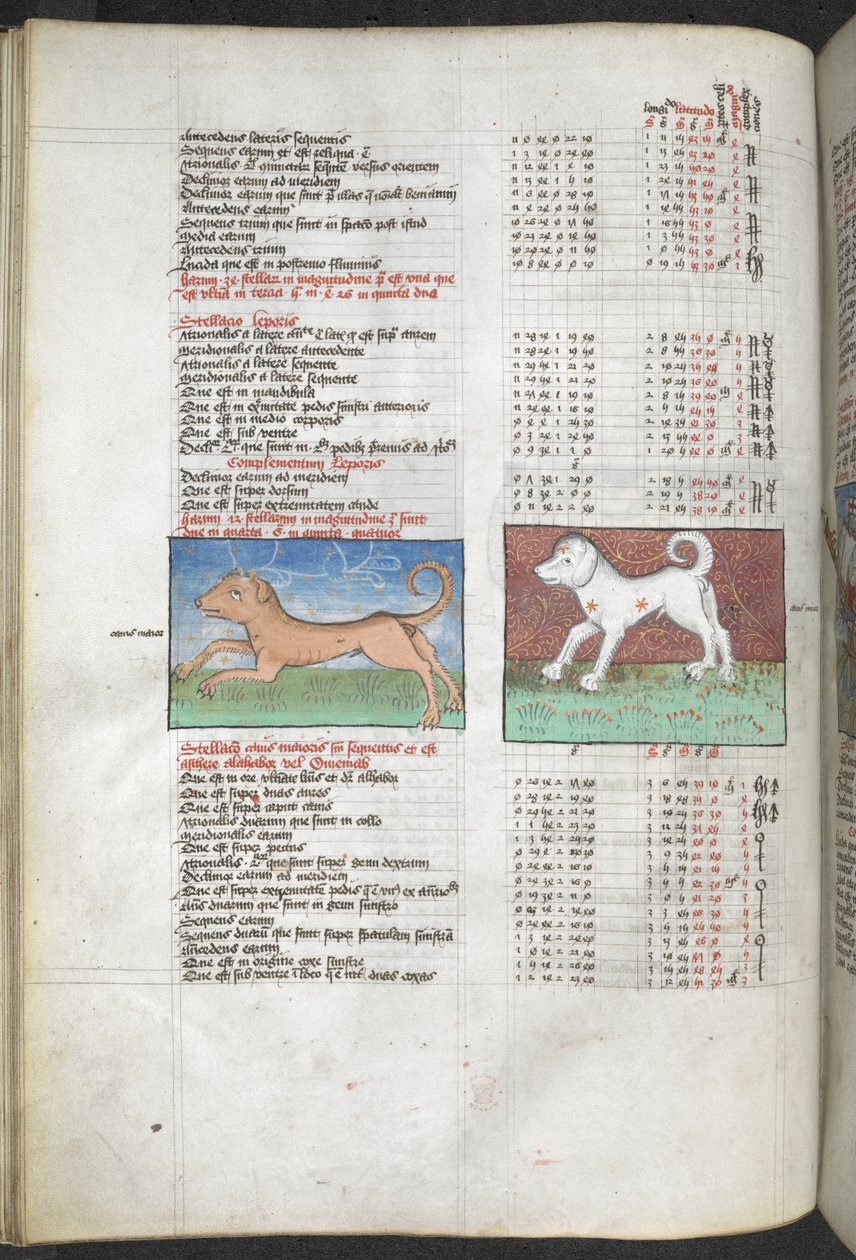Arundel MS 66 f.44v Canis maior ja Canis minor kuvattu koirina 