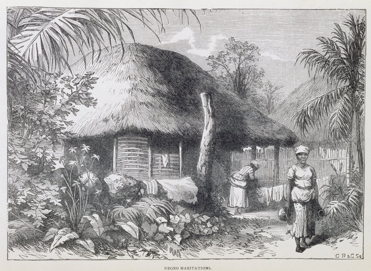 Black Habitations, Samuel Hazardin teoksesta "Santo Domingo Past and Present", pubi. vuonna 1873 (kaiverrus) tekijältä English School
