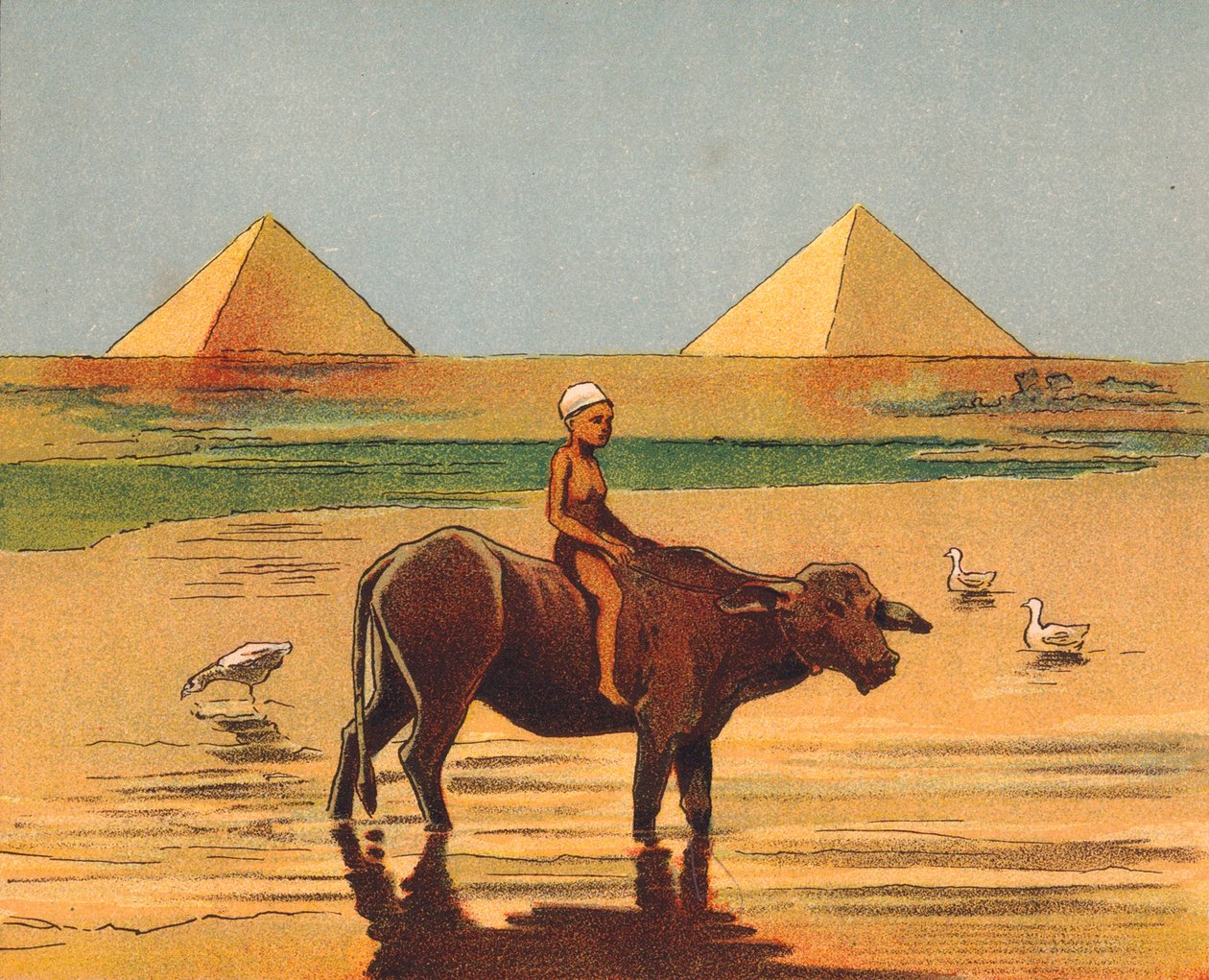 Poika ratsastaa härän selässä pyramidien edessä, Egypti (värilitografia). tekijältä English School