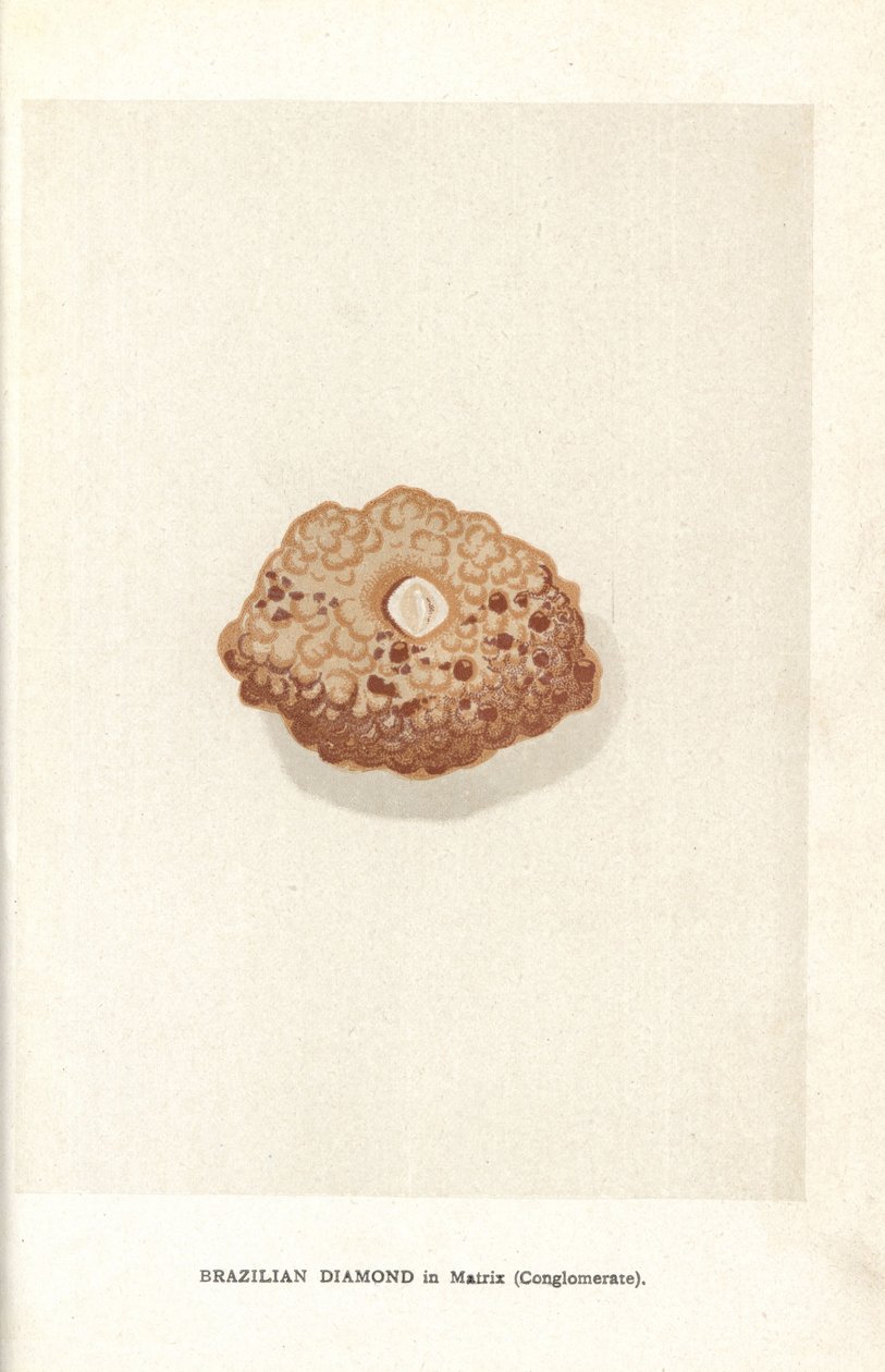 Brasilialainen timantti matriisissa (konglomeraatti), Edwin Streeterin "Precious Stones and Gems", Lontoo, George Bell & Sons tekijältä English School