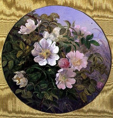 Briar Roses, n. 1890 (akvarelli paperille) tekijältä English School