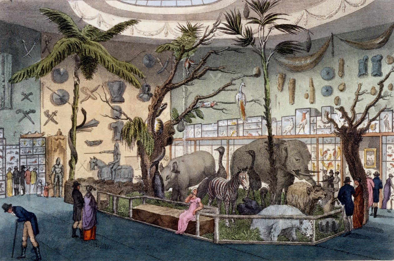 Bullocks Museum, 22 Piccadilly, Lontoo, Ackermanns Repository of Arts, 1809 tekijältä English School
