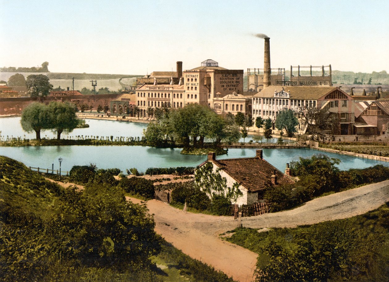Burroughs, Wellcome & Company Factory, Dartford (käsin värjätty valokuva) tekijältä English School