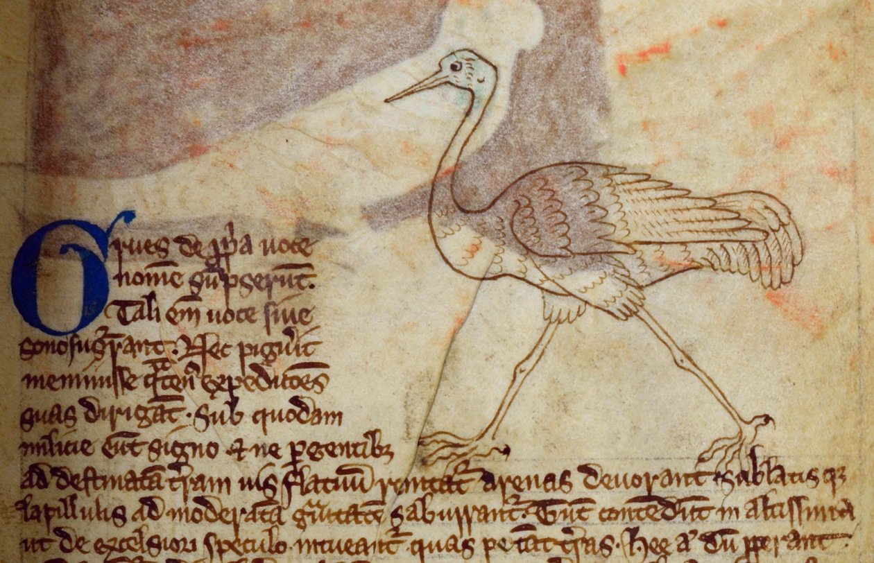 CCA-LitMs/D/10 fol. 14r Crane, Bestiarysta tekijältä English School