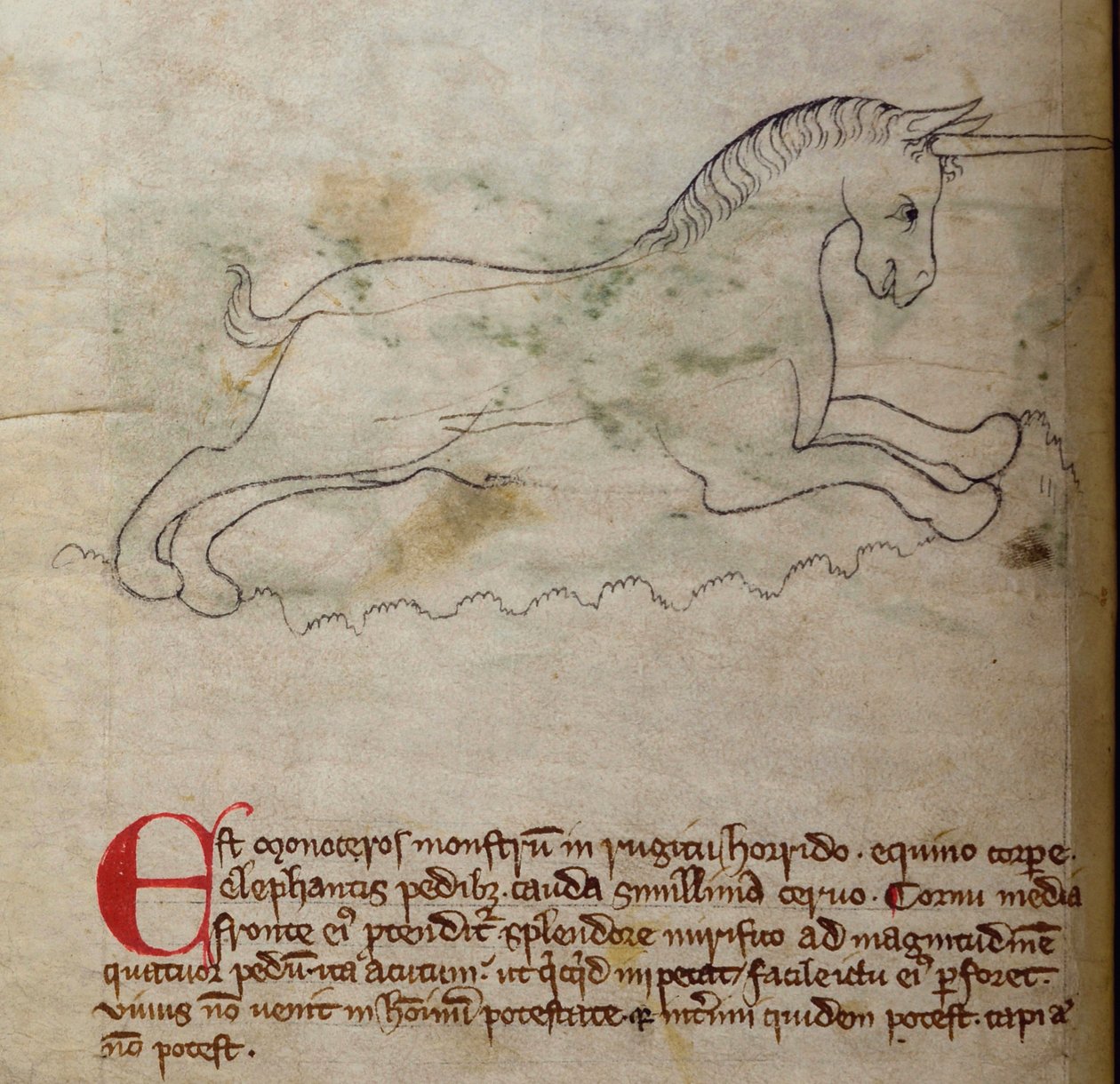 CCA-LitMs/D/10 fol. 2v Monoceros, Bestiarysta tekijältä English School