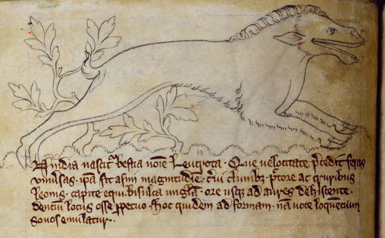 CCA-LitMs/D/10 fol. 3v Leucrota, Bestiarysta tekijältä English School
