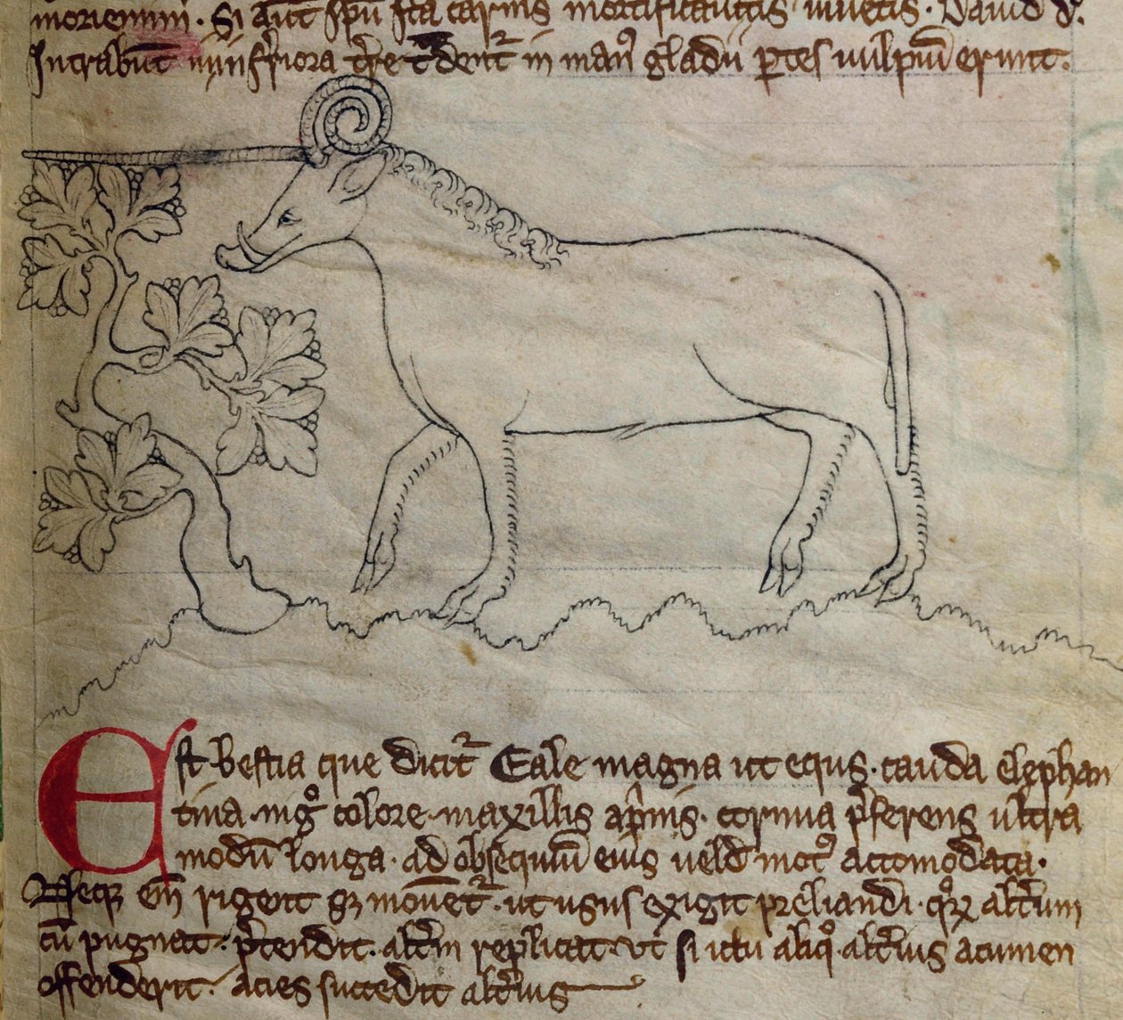 CCA-LitMs/D/10 fol. 4r Yale, Bestiarysta tekijältä English School