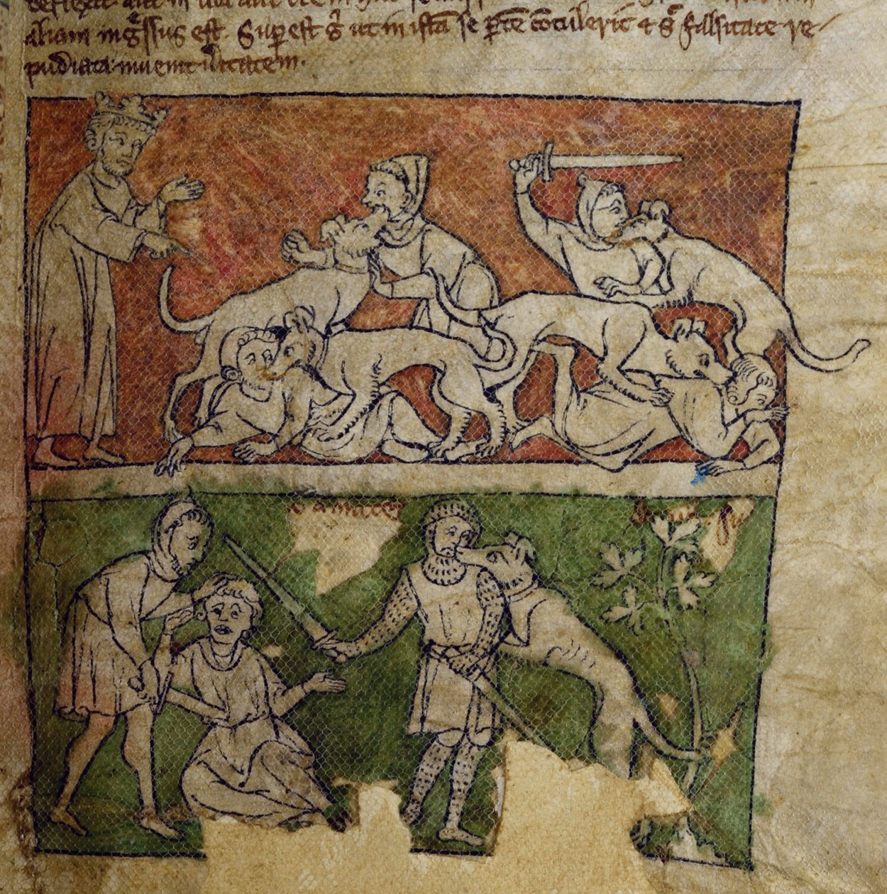 CCA-LitMs/D/10 fol. 6r koira, Bestiarysta tekijältä English School