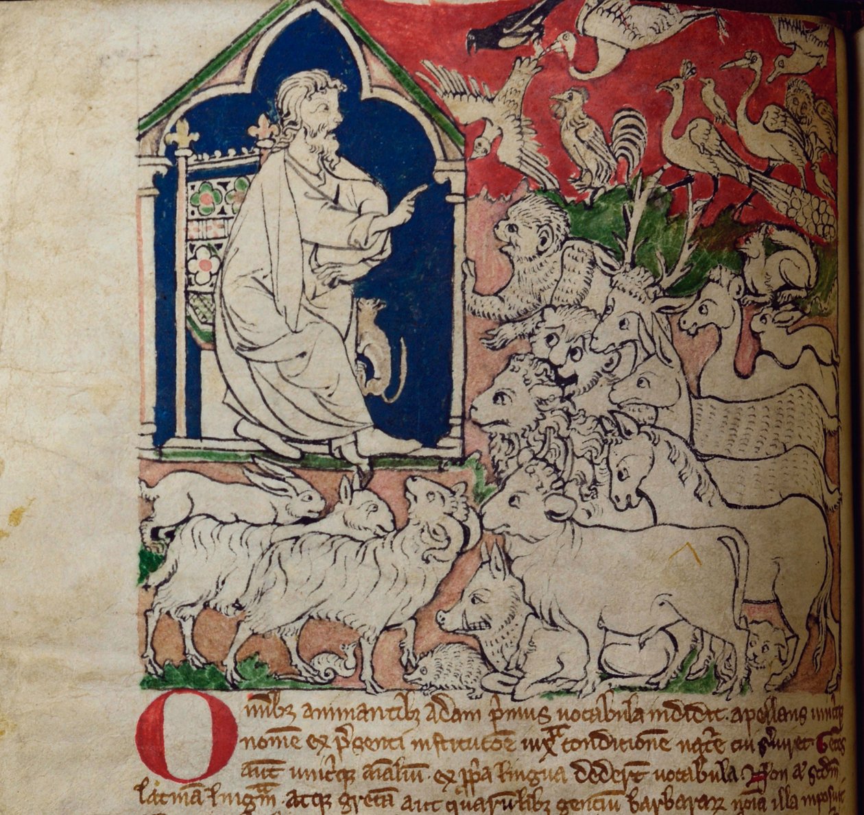 CCA-LitMs/D/10 fol. 7v Adam, Bestiarysta tekijältä English School