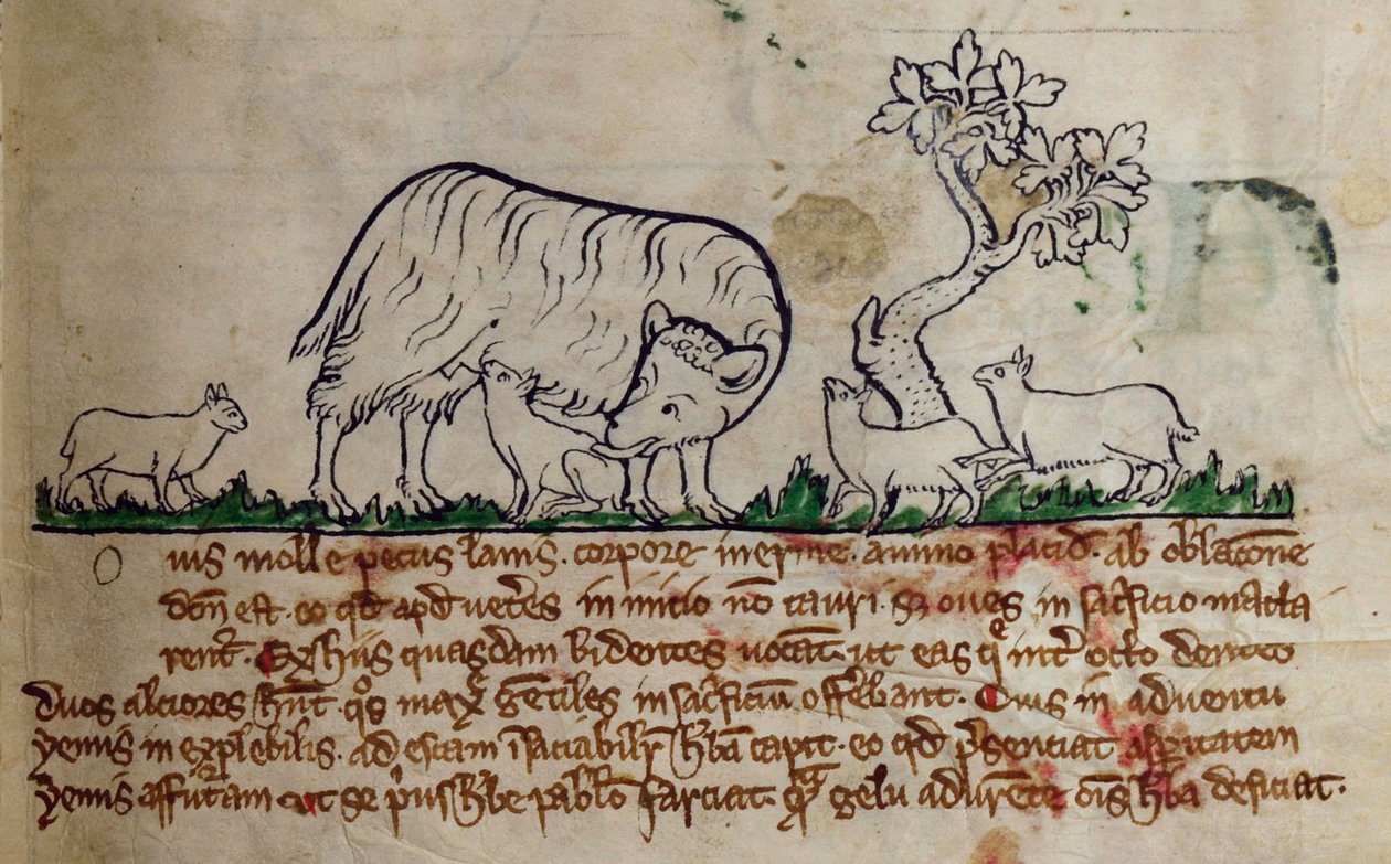 CCA-LitMs/D/10 fol. 8r Lampaat, Bestiarysta tekijältä English School