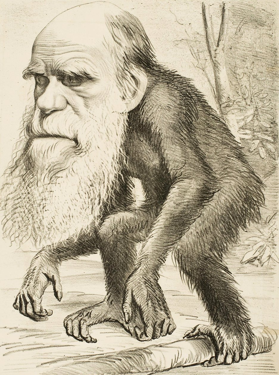 Charles Darwinin karikatyyri tekijältä English School