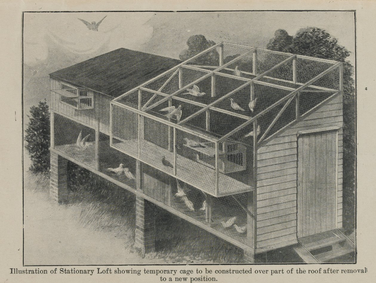 Kirjakyyhkyset sodassa, maaliskuu 1918 tekijältä English School