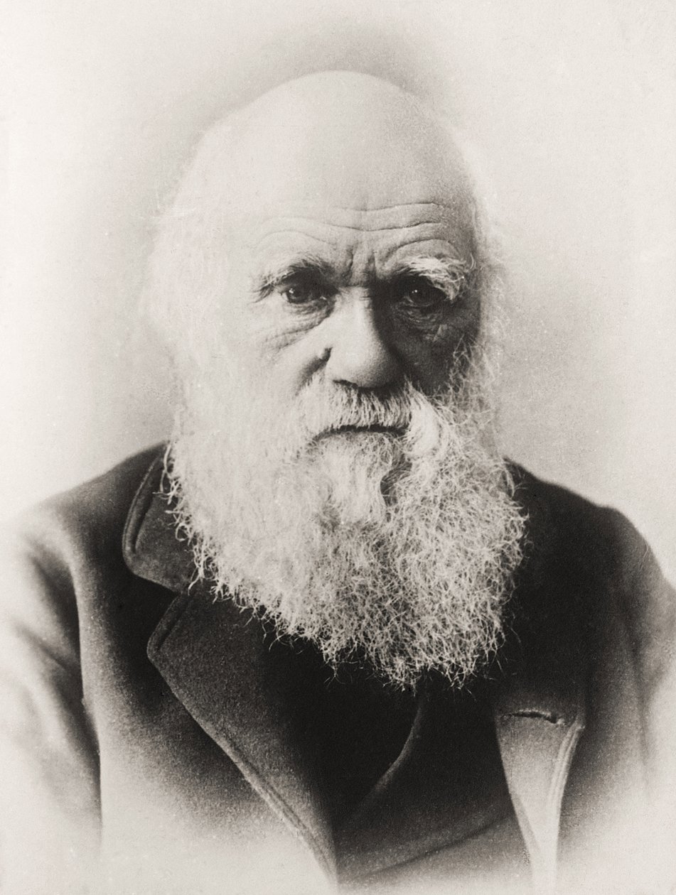 Charles darwin tekijältä English School