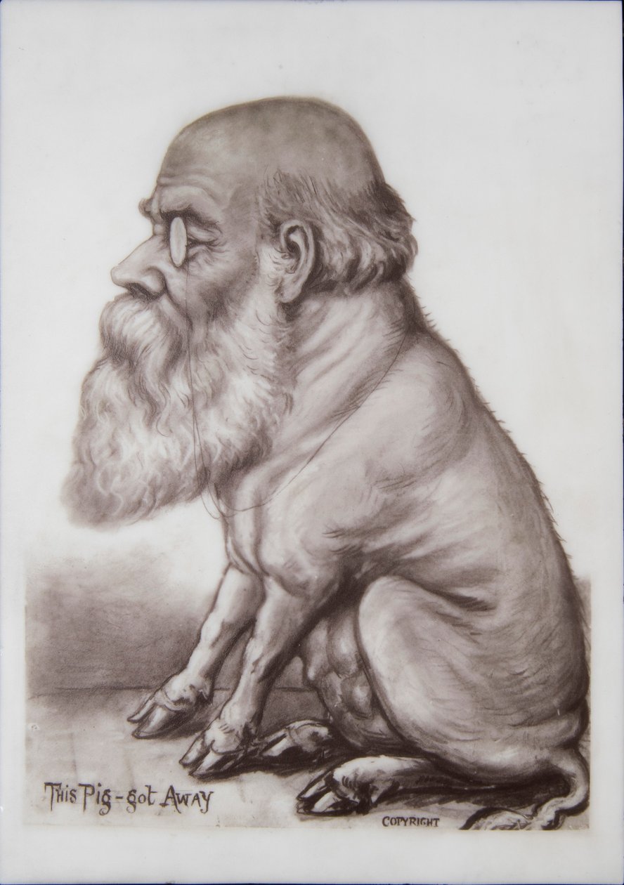 Charles Darwin -laatta, noin 1870 (keramiikka) tekijältä English School