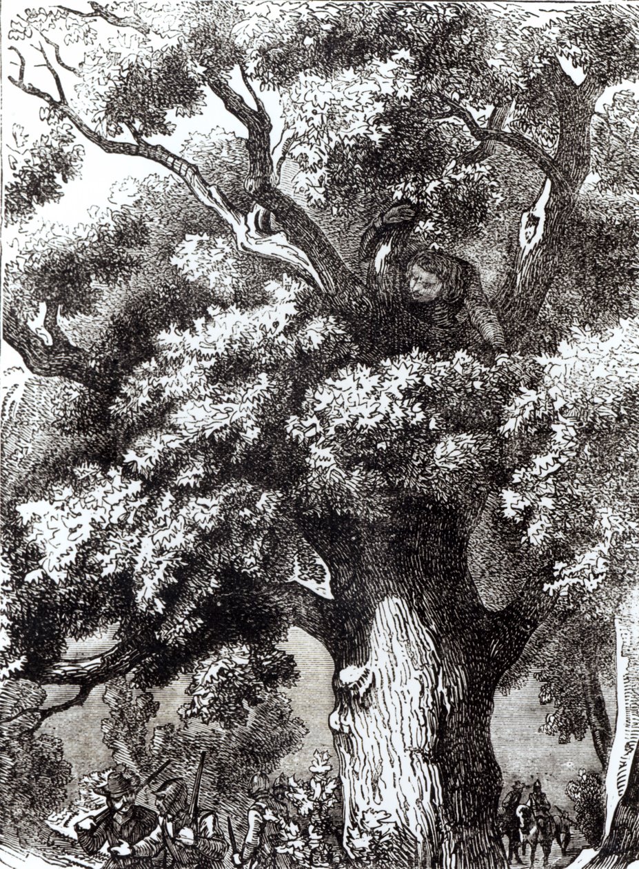 Kaarle II (1630-85) Piilotettu tammipuuhun, 14. lokakuuta 1651 tekijältä English School