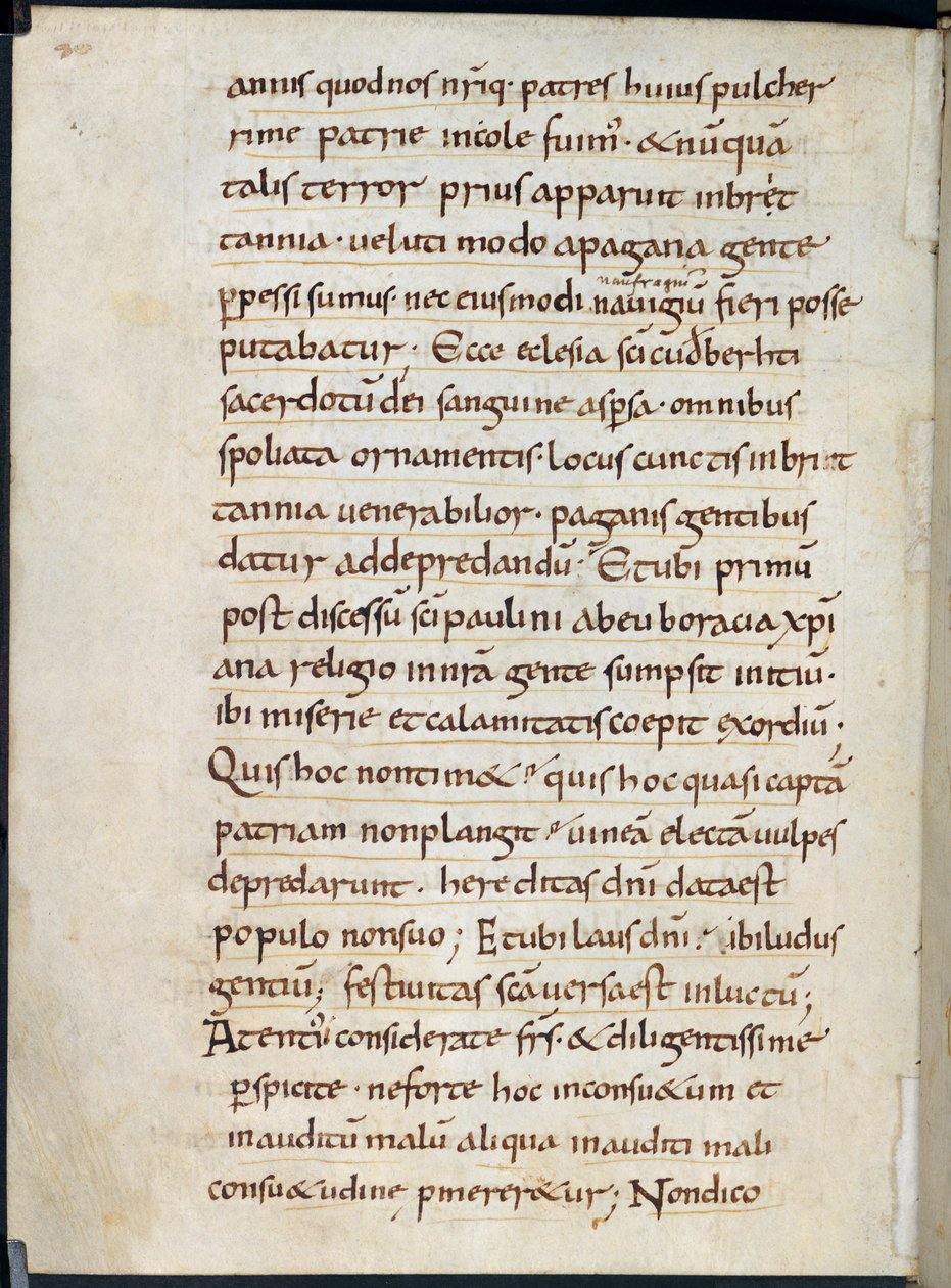 Puuvilla Vespasianus A. XIV, f.126v Alcuinin kirje, joka esittää myötätuntoa viikinkien hyökkäyksestä Lindisfarnea vastaan vuonna 793 (muste vellum) tekijältä English School