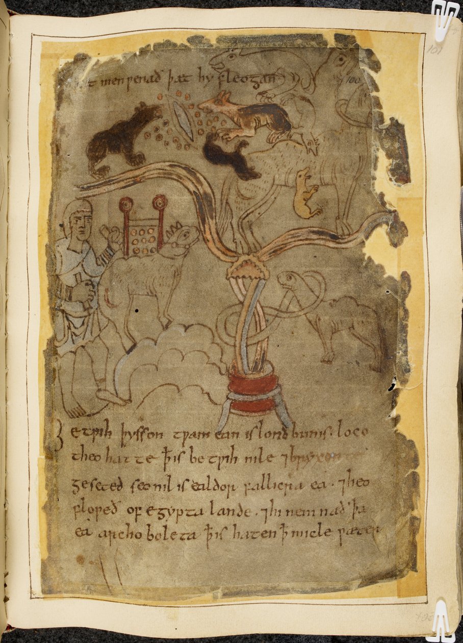 Puuvilla Vitellius A. XV, f.101r, Kolme koiran kaltaista muurahaista hyökkäämässä sidotun kamelin kimppuun, mies tunikassa, kuva Beowulfista, Nowell Codexista (muste pergamentille) tekijältä English School