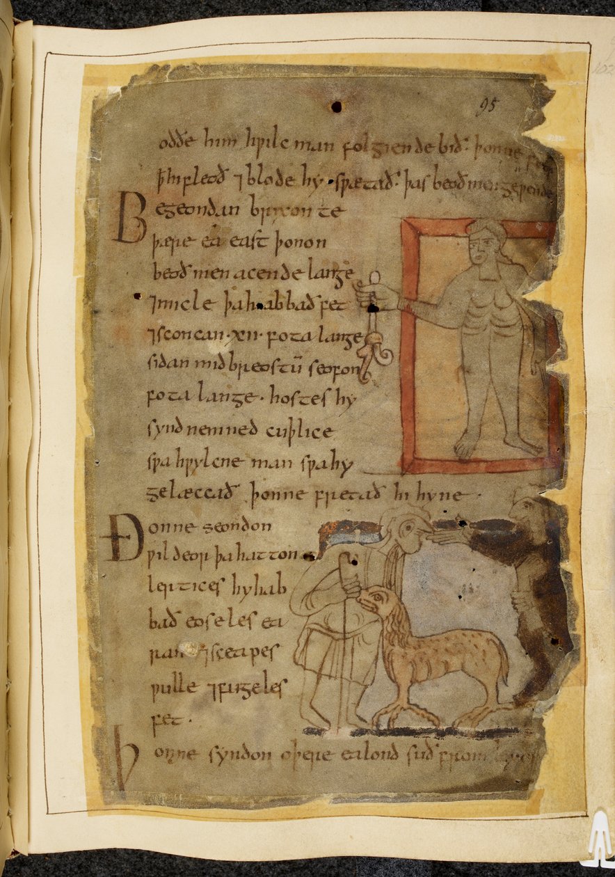 Puuvilla Vitellius A. XV, f.102, Alaston mies, jolla on kasvi; kaksi miestä puhumassa, ja heidän välillään lertix, lammasmainen peto, kuva Beowulfista, Nowell Codexista (muste pergamentille) tekijältä English School