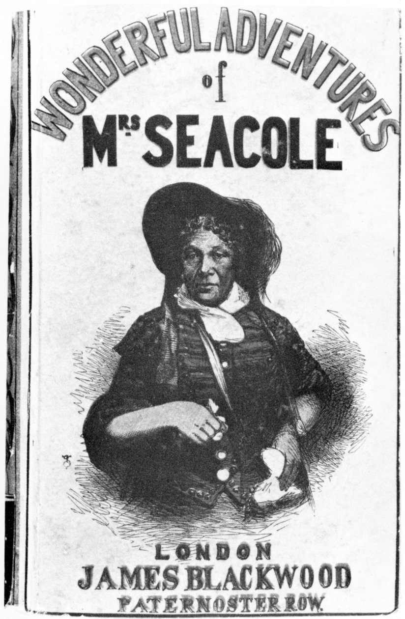 The Wonderful Adventures of Mrs Seacolen ensimmäisen painoksen kansi, jonka on julkaissut James Blackwood Paternoster Row