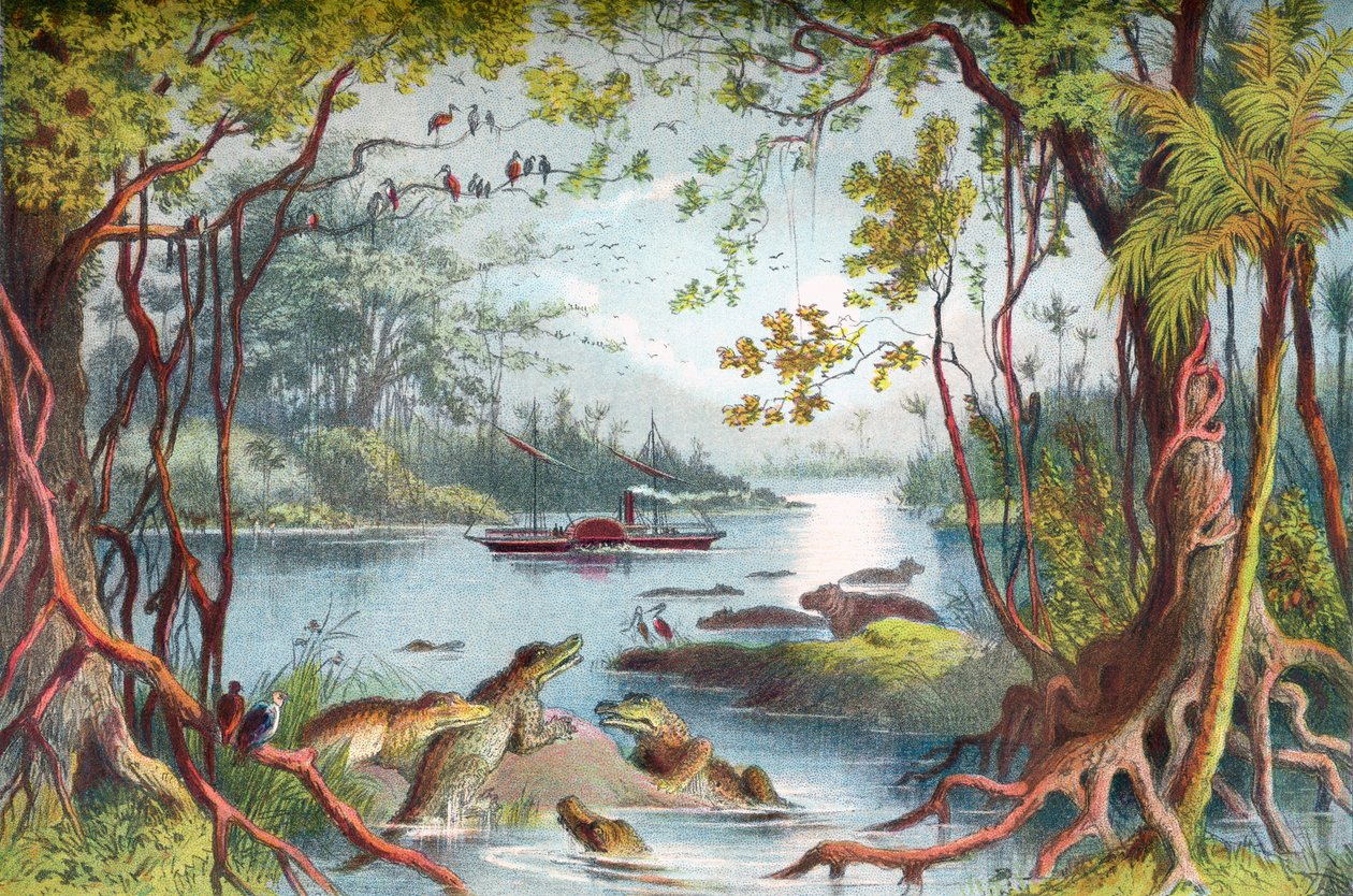 David Livingstonen laiva Ma-Robert Zambezi-joella, Afrikassa, hänen Zambezi-matkansa aikana 1800-luvulla. The Life and Explorations of Dr. Livingstone julkaistu n.1875. tekijältä English School