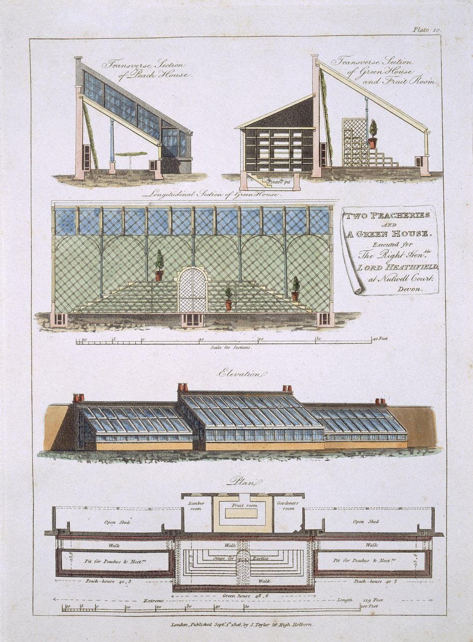 Suunnittelu kahdelle persikoille ja vihreälle talolle, 1806 tekijältä English School