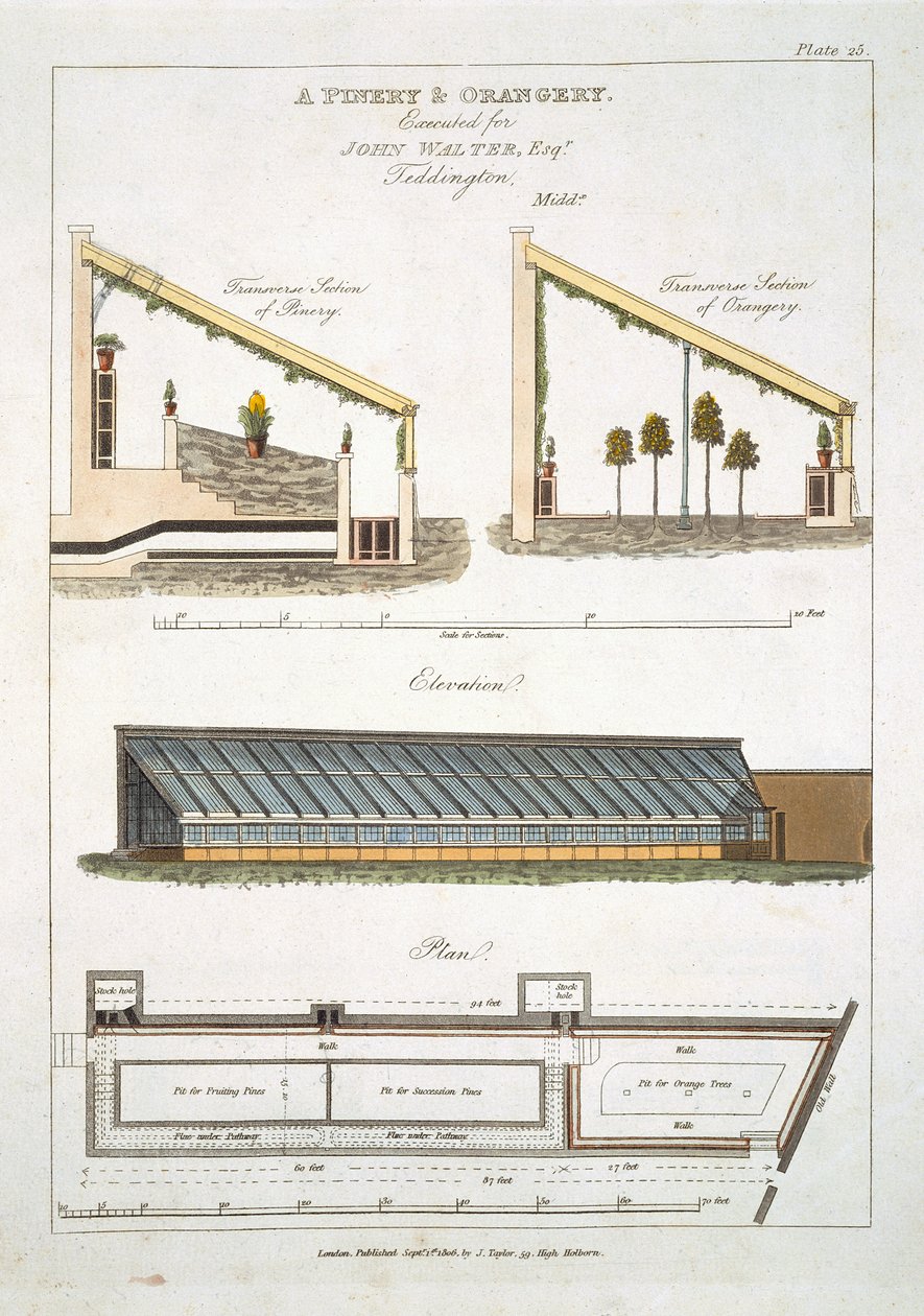 Suunnittelu mänty- ja appelsiinitarhalle Teddingtonissa, 1806 tekijältä English School