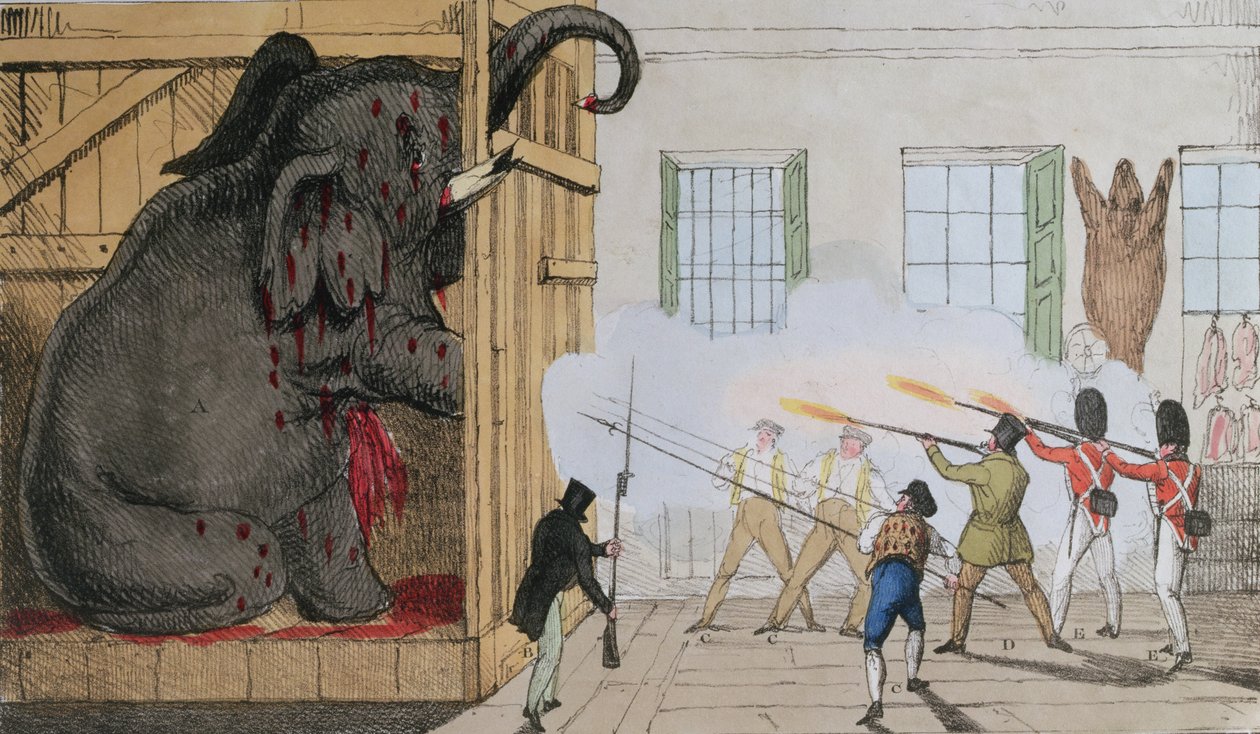 Jalon norsun tuhoaminen Mr Crosss Exeter Changessa, 1826 tekijältä English School