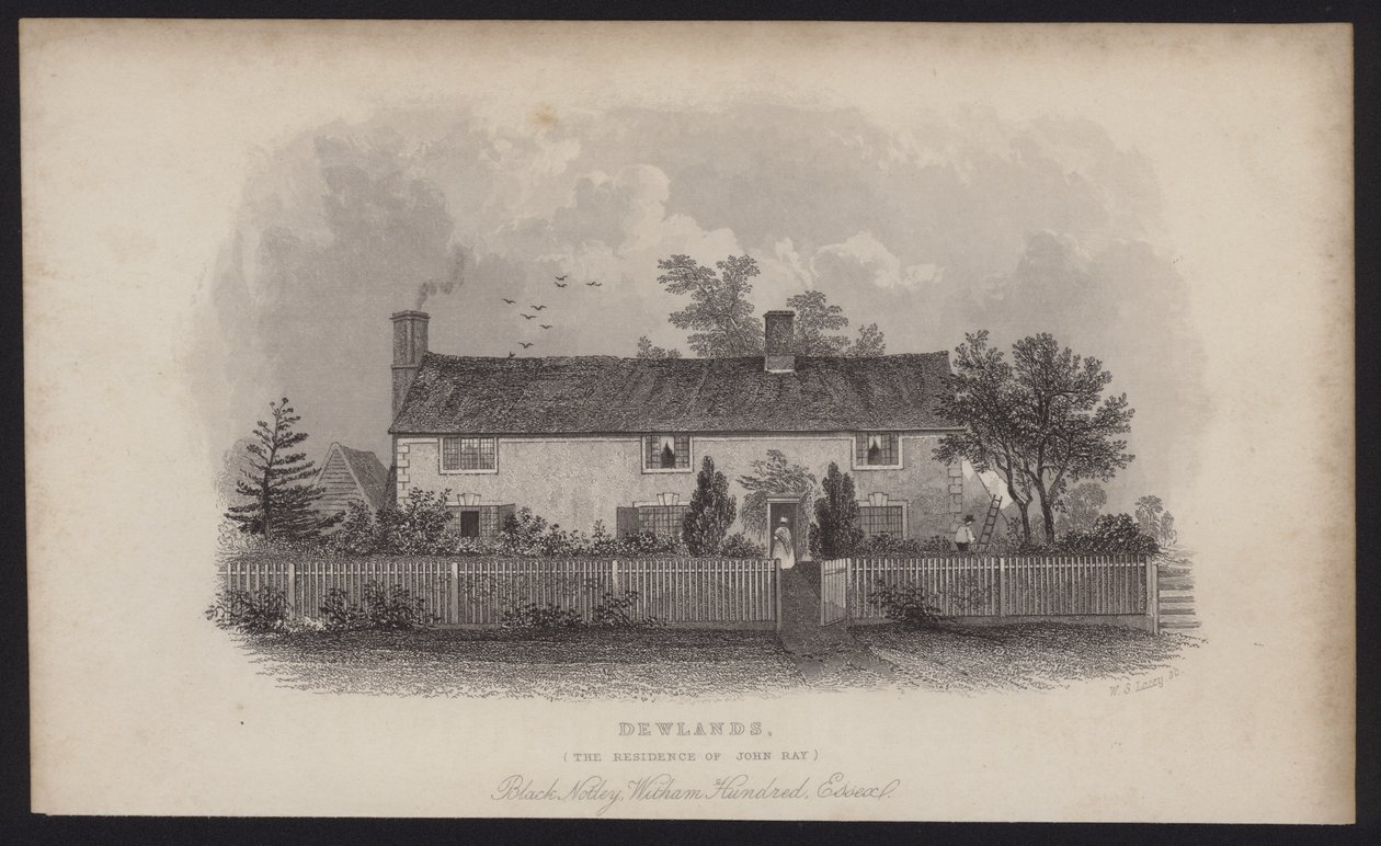 Dewlands, John Rayn asuinpaikka, Black Notley, Witham Hundred, Essex (kaiverrus). tekijältä English School