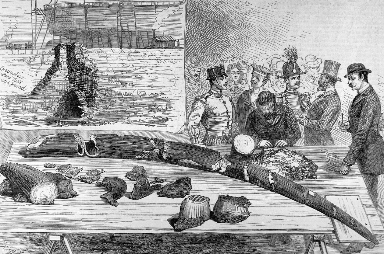 Fossiilisten jäänteiden löytö Leghornissa, Toscanassa, The Illustrated London News, 21. tammikuuta 1882 tekijältä English School