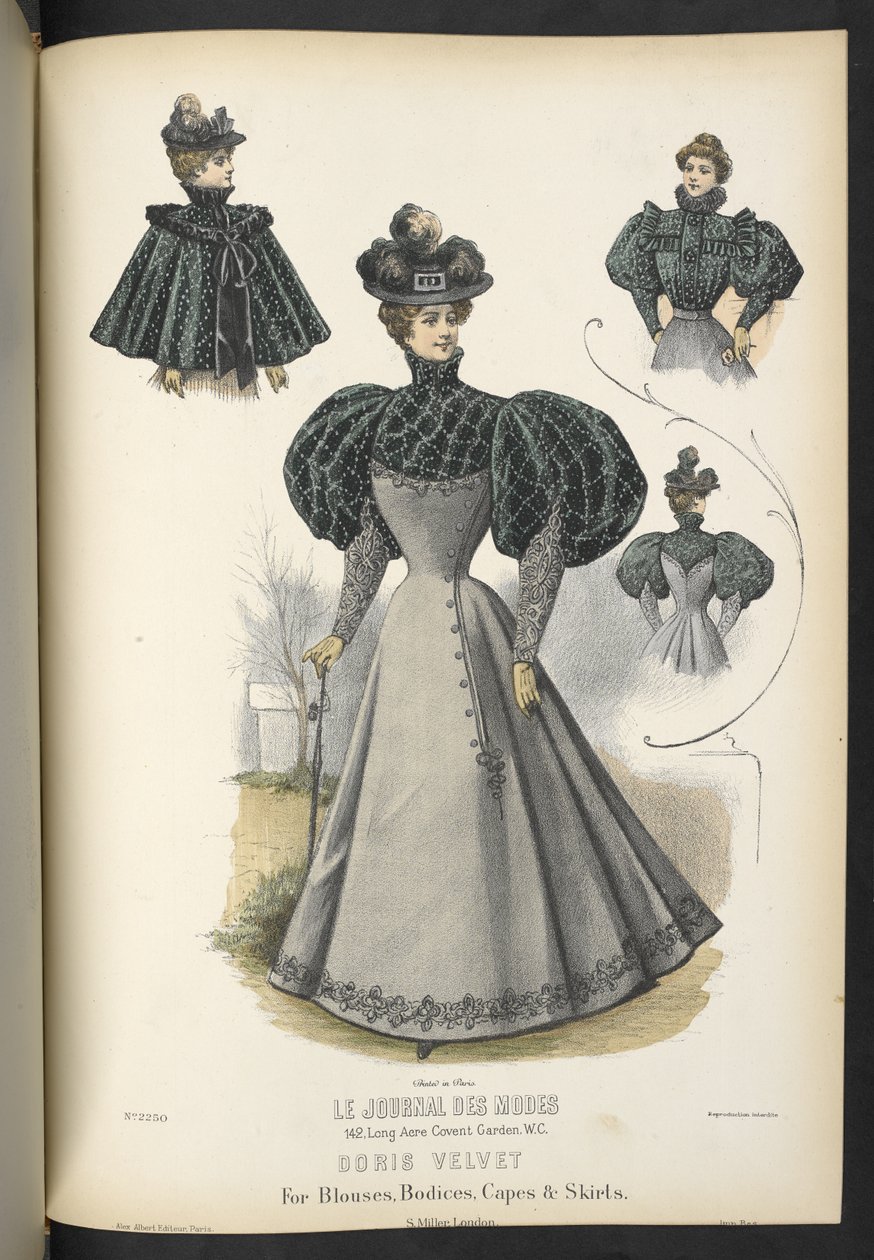 Doris velvet, puseroille, bodireille, viitteille ja hameille,  Plate 2250, Doris-sametti puseroihin, bodieihin, viitoihin ja hameisiin,  Omistaja ja Milliner,  1895 tekijältä English School