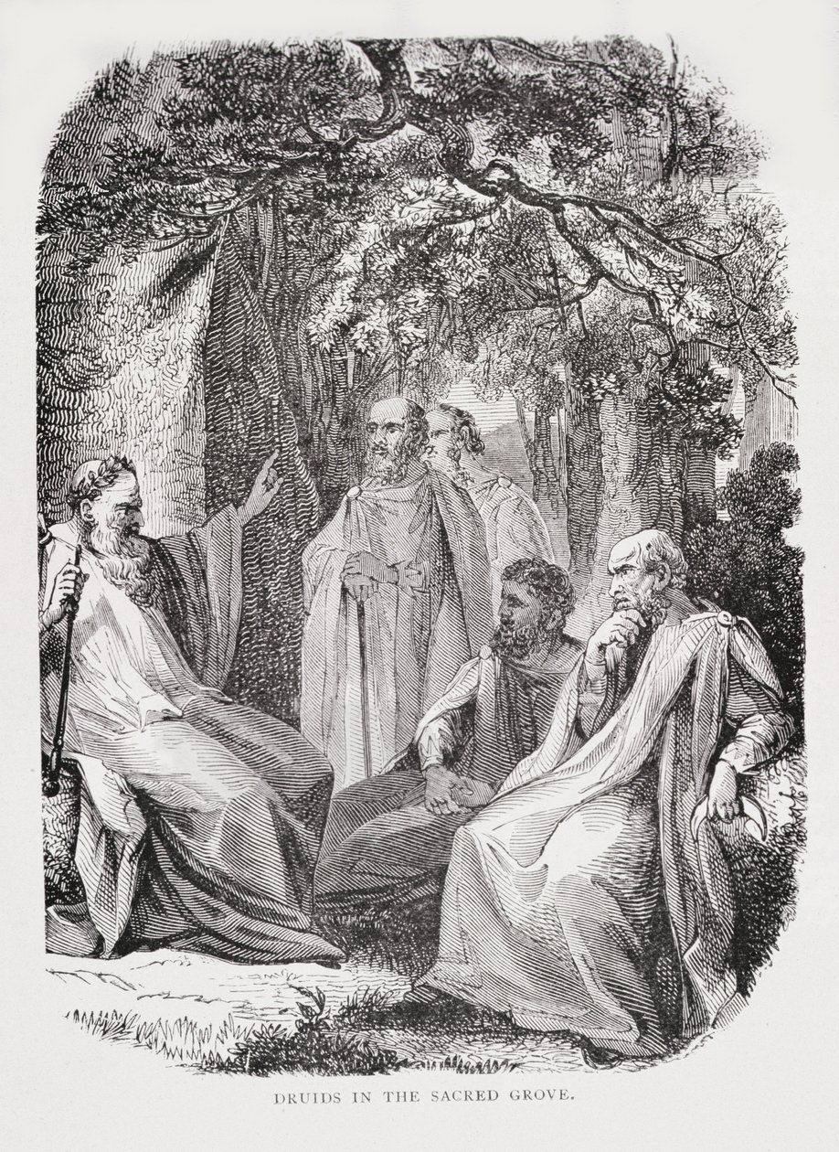 Druidit pyhässä lehdossa, Ranskan historiasta, Emile de Bonnechose, julkaisija Ward, Lock and Co, Lontoo tekijältä English School