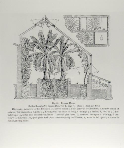 Kasvihuoneen korkeus, John Wrightin julkaisusta "The Fruit Grower