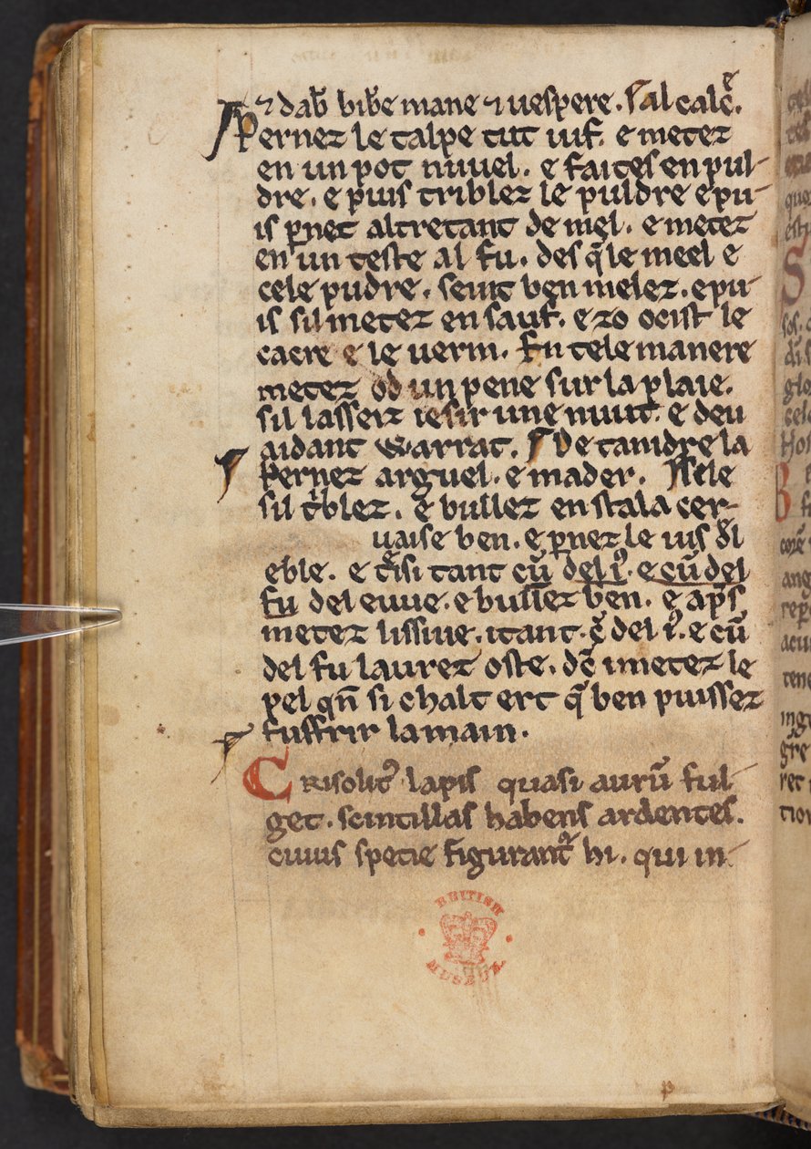 Otteita Henry of Huntingdonin Historia Anglorum -teoksesta, Cotton MS Titus D XXIV, f.132v (pergamentti). tekijältä English School