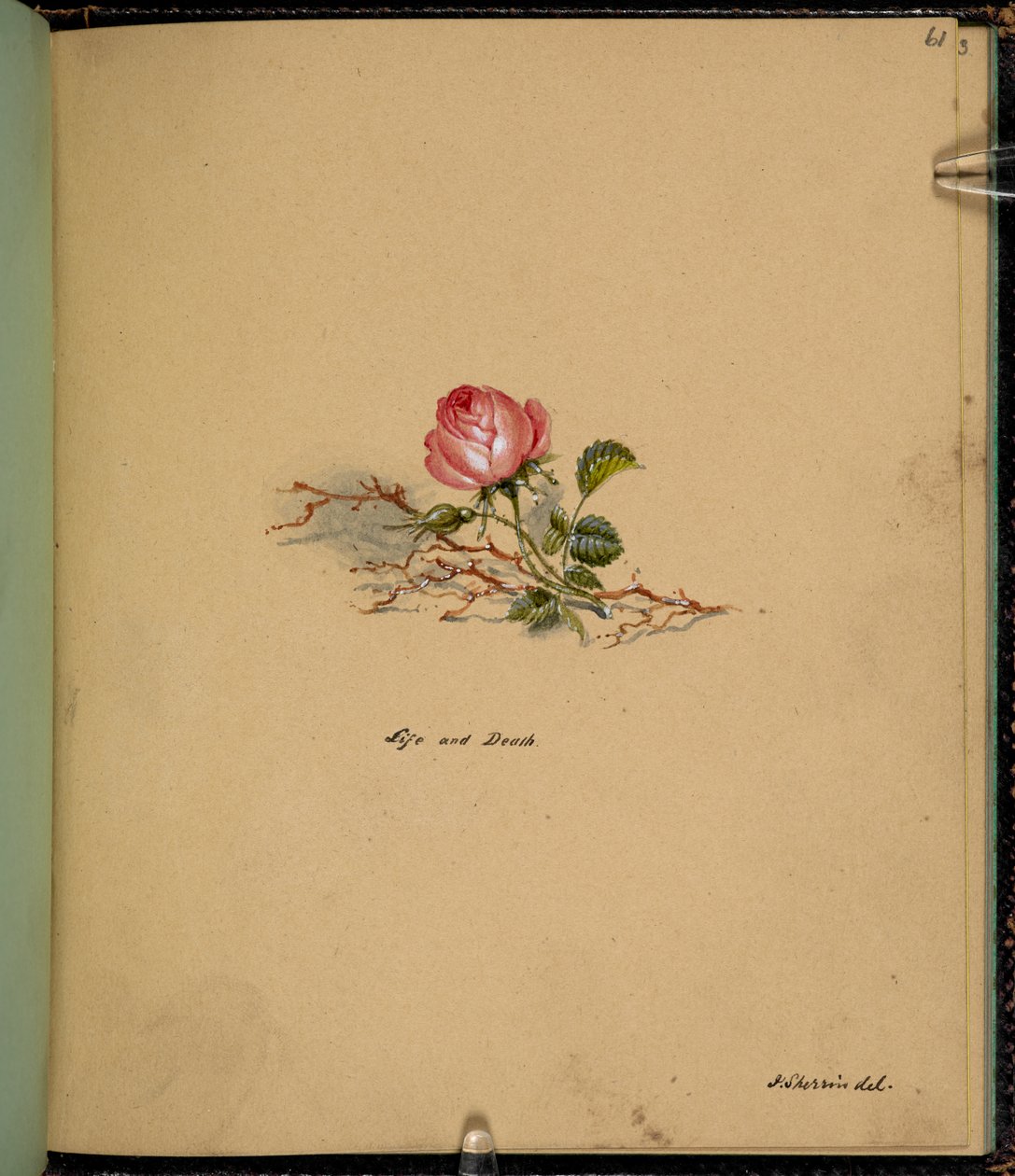 F. 61: Ruusu, Elämä ja kuolema, luonnoskirjasta, jossa on kohtauksia Charles Dickensin tarinoista (kynä ja akvarelli paperille) tekijältä English School