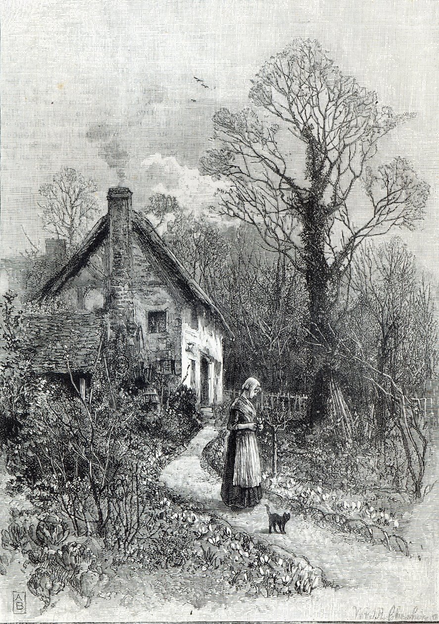 Ensimmäiset kukat, Leisure Hour, 1888 tekijältä English School