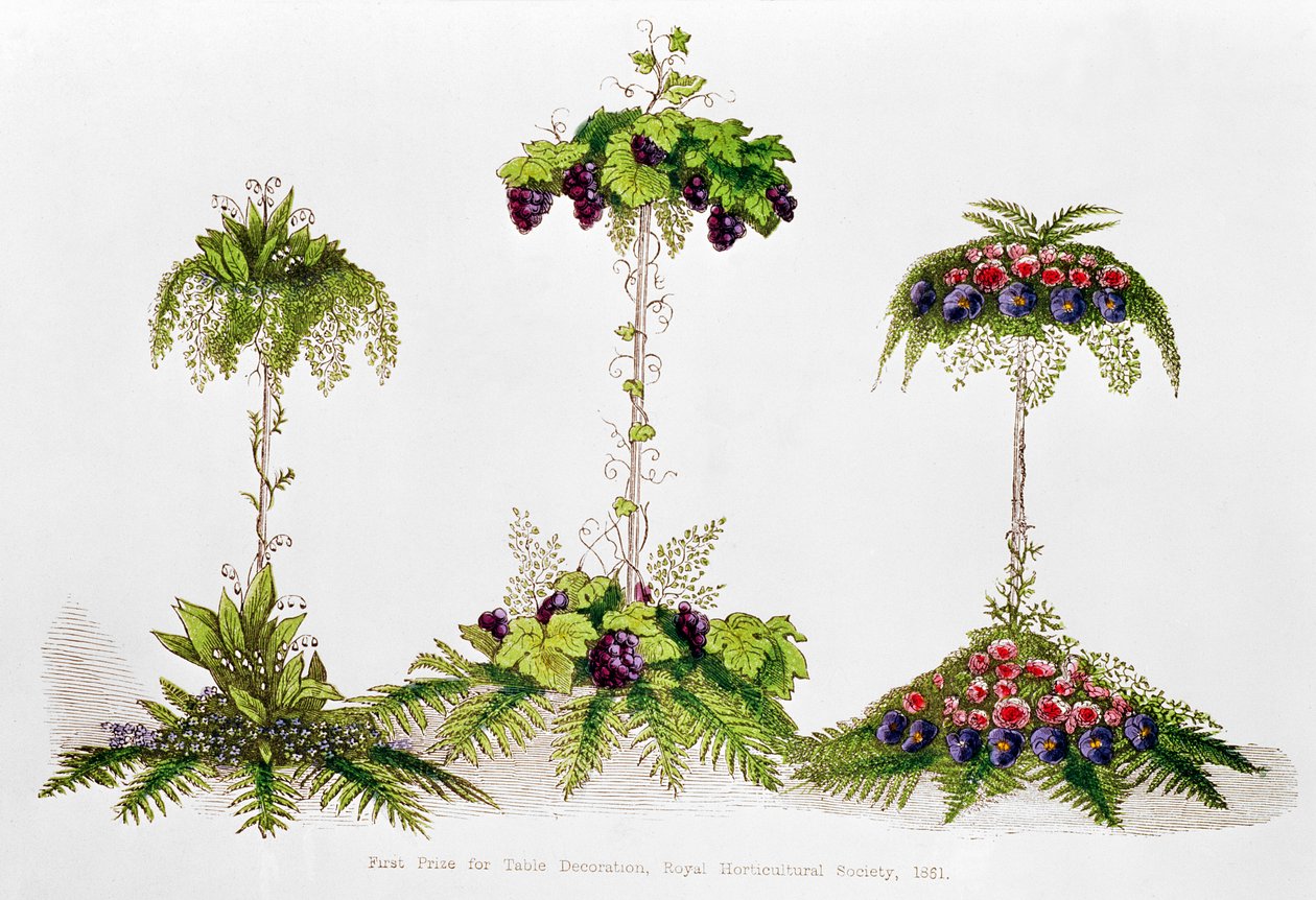Ensimmäinen palkinto pöydänkoristelusta, Royal Horticultural Society, 1851. tekijältä English School