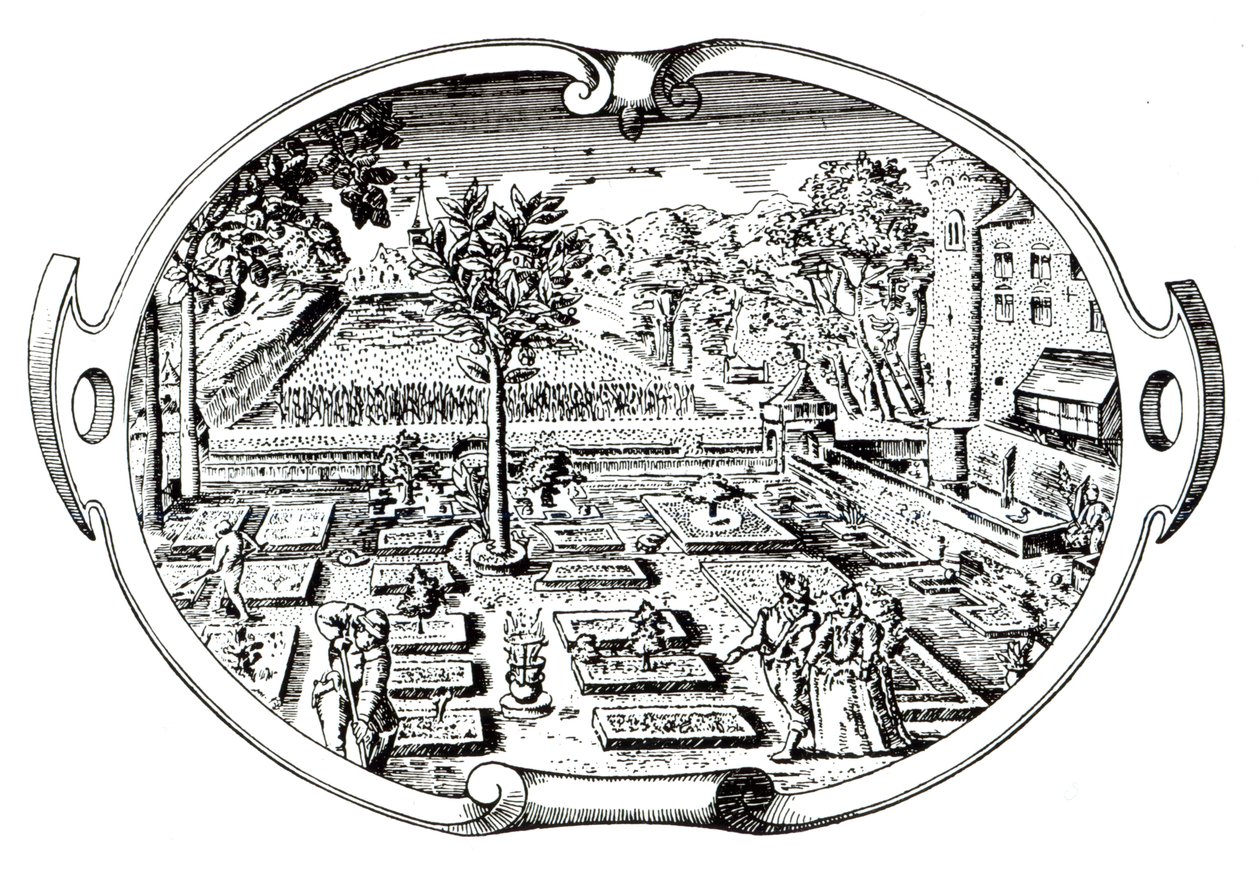 John Gerardin (1545-1607) The Herballin etukappale, julkaistu 1597 tekijältä English School