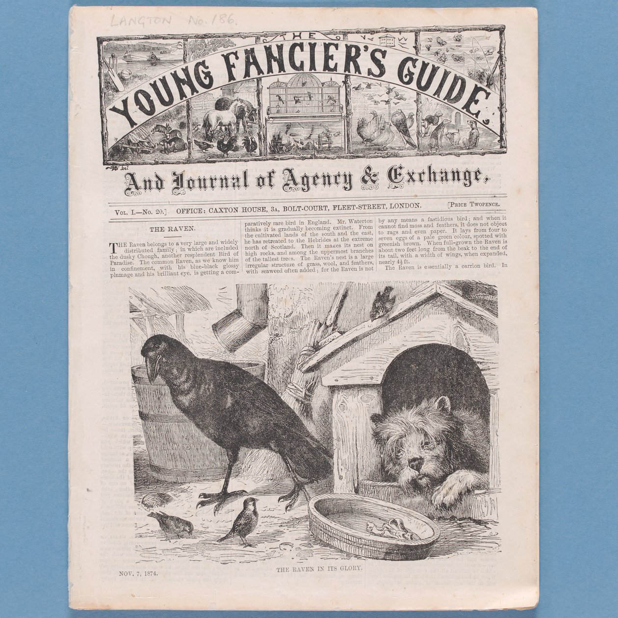 Etukappale The Young Fanciers Guide -oppaasta, 1874 (katso myös 315145) tekijältä English School