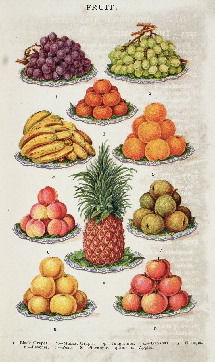 Fruit, julkaisusta "Beeton