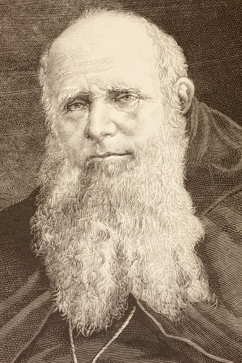 Guglielmo Massaia (litho) tekijältä English School