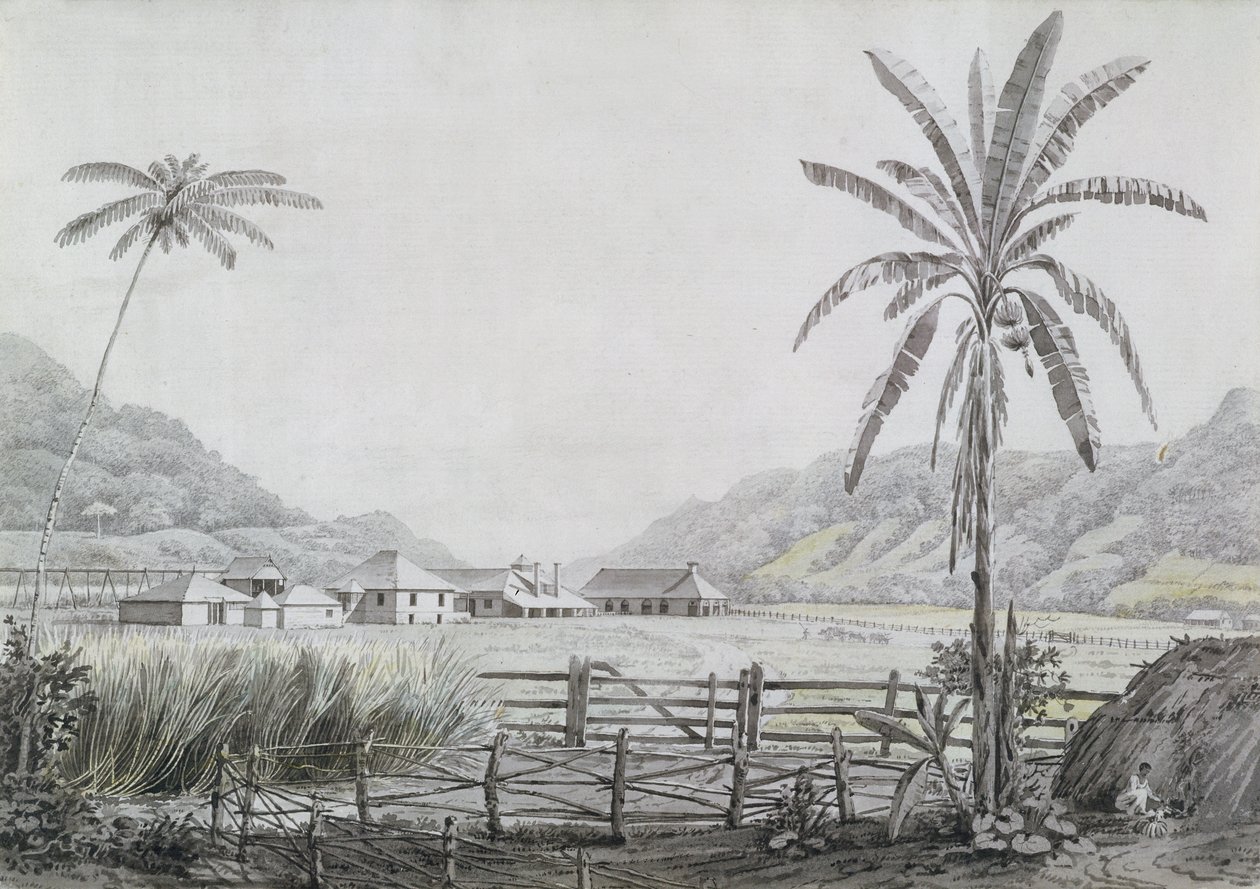 Halse Hall, Jamaika, n. 1780 (wc ja grafiitti paperilla) tekijältä English School