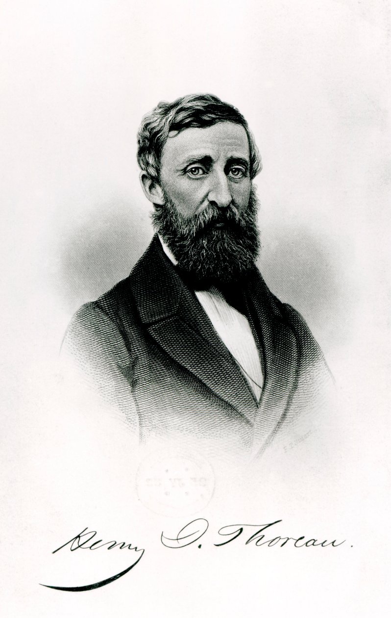 Henry David Thoreau (1817-62) tekijältä English School