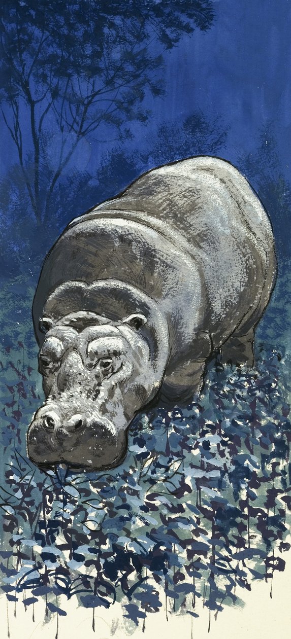 Hippopotamus tekijältä English School