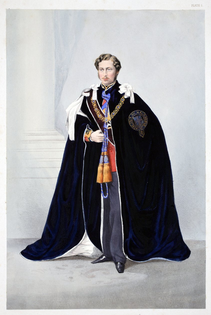 Hänen kuninkaallinen korkeutensa Albert Edward, Walesin prinssi, Edward VII:n ja tanskalaisen Alexandran avioliiton muistomerkki, pub. 1864 tekijältä English School