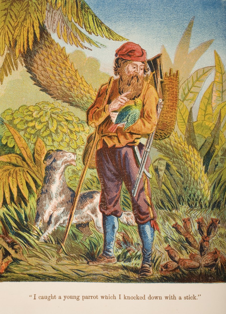 "Sain nuoren papukaijan, jonka kaaduin kepillä.", kuvitus Daniel Defoen (1660-1731) teoksesta "Robinson Crusoe" noin 1860-luku (chromolitho) tekijältä English School