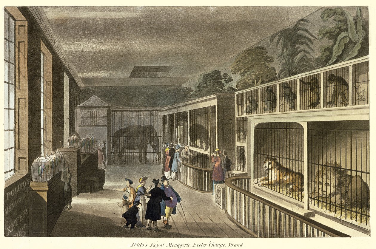 Sisäkuva Politos Royal Menageriesta, Exeter Change, Strand, 1812 (akvatinta) tekijältä English School