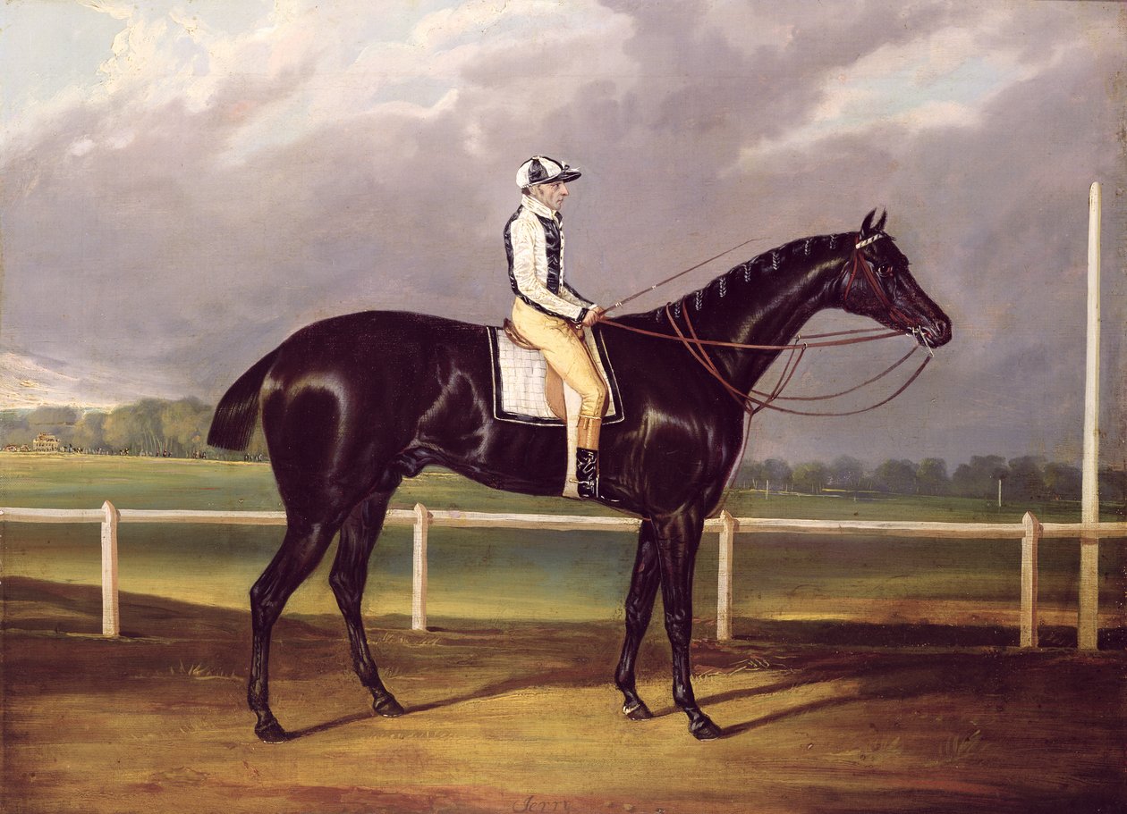 Jerry, St. Leger -palkinnon voittaja vuonna 1824 (öljy kankaalle) tekijältä English School