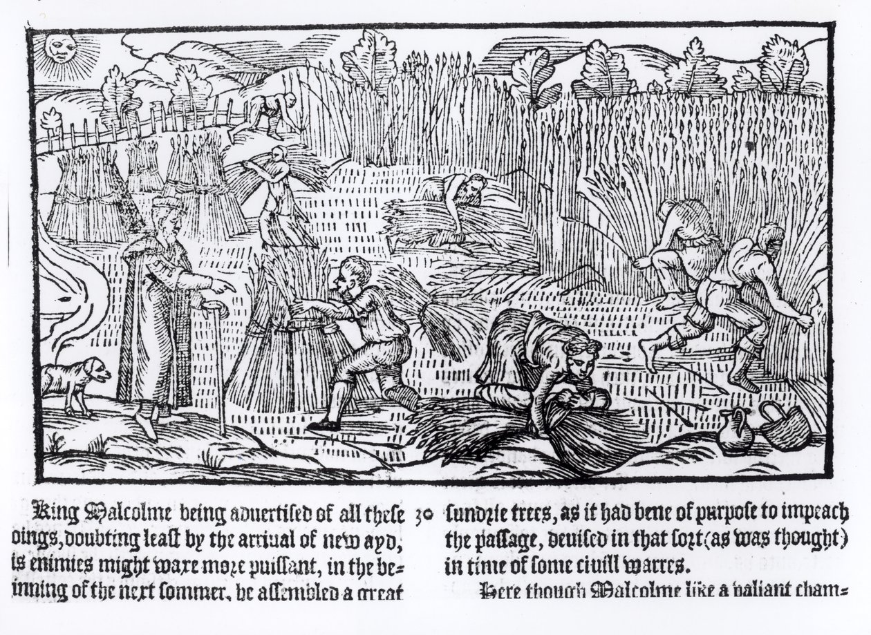 Skotlannin kuningas Malcolm tarkkailee maataloustyötä, 1586 tekijältä English School