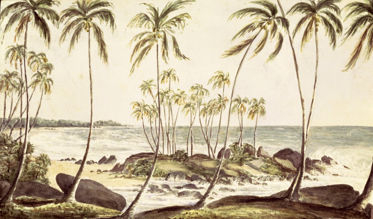 Kosgoda Beach, Ceylon, n. 1835 (wc paperilla) tekijältä English School