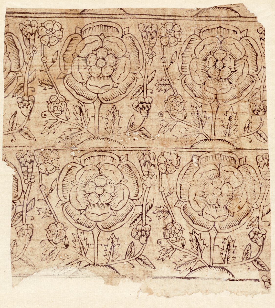 Vuoripaperi, jossa Tudor Rose -kuvio, n. 1550 (puupainatus) tekijältä English School